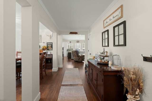 corridor with crown molding and dark wood-type flooring