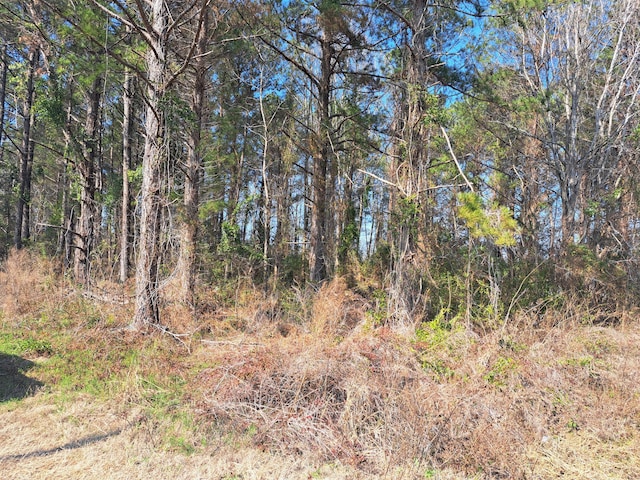 01 Sheard Dr, Santee SC, 29142 land for sale