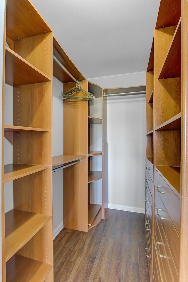 259 E Bay St Unit 7C, Charleston, SC 29401 - spacious closet featuring dark wood finished floors