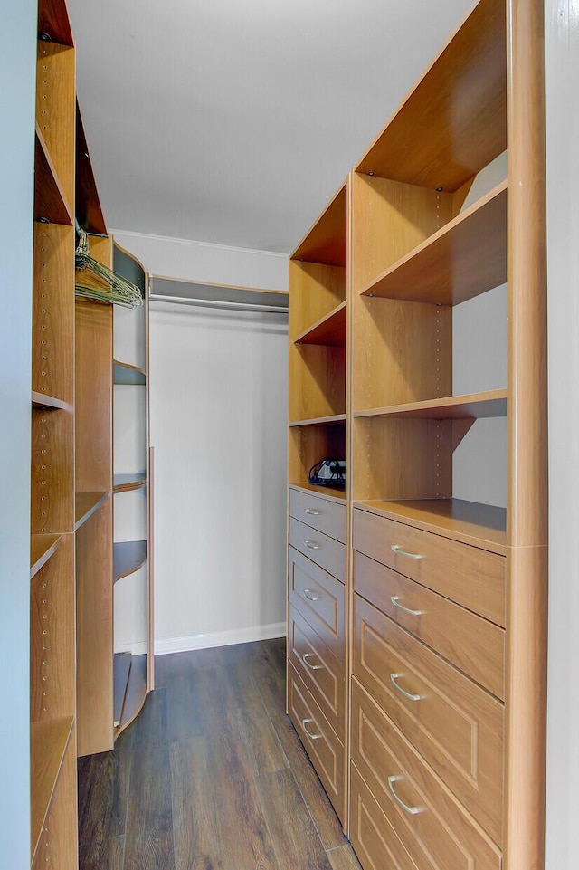 259 E Bay St Unit 7C, Charleston, SC 29401 - spacious closet with dark wood-style flooring