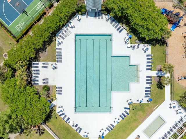 bird's eye view