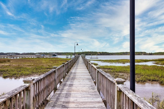 dock area with a water view