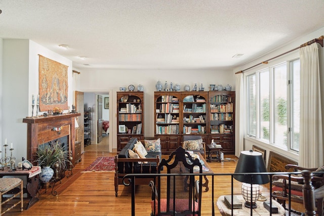 528 Wampler Dr, Charleston, SC 29412 - living area featuring wood finished floors, a fireplace with flush hearth, and a textured ceiling