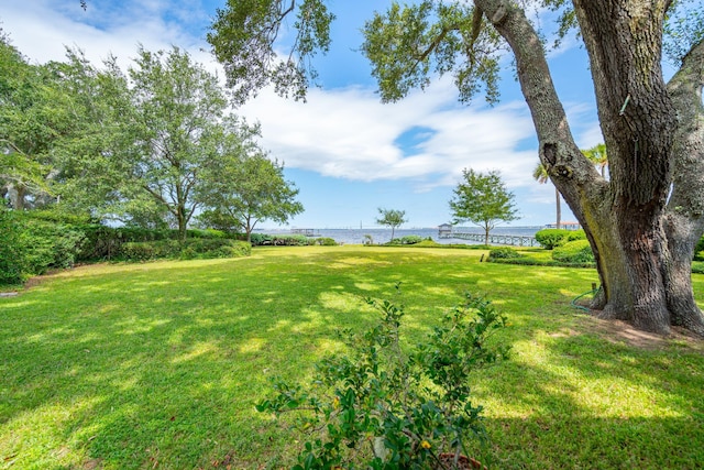 528 Wampler Dr, Charleston, SC 29412 - view of grassy yard featuring a water view