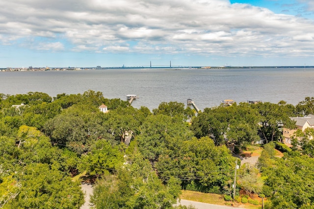 528 Wampler Dr, Charleston, SC 29412 - water view