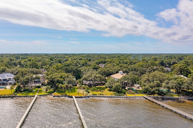 528 Wampler Dr, Charleston, SC 29412 - drone / aerial view of a forest and a nearby body of water