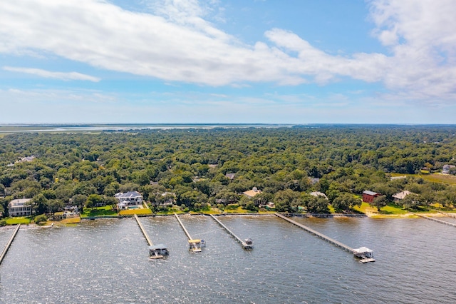 528 Wampler Dr, Charleston, SC 29412 - bird's eye view of a heavily wooded area and a large body of water