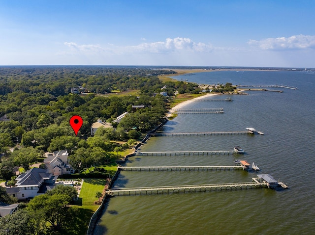 528 Wampler Dr, Charleston, SC 29412 - drone / aerial view of a large body of water