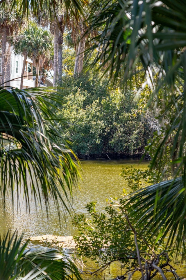 view of yard with a water view