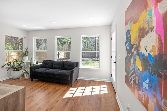 living area featuring wood-type flooring, recessed lighting, and baseboards