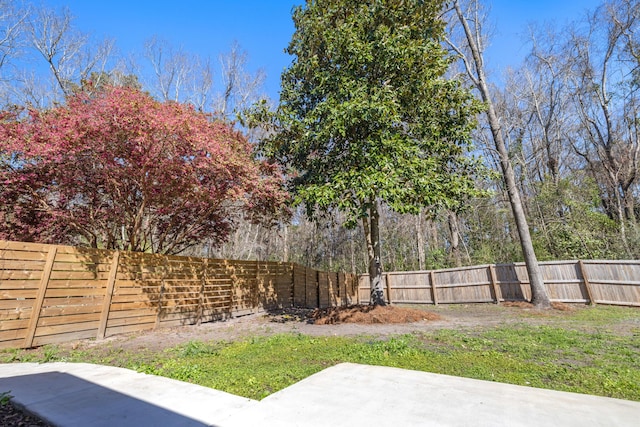 view of yard with a fenced backyard and a patio area