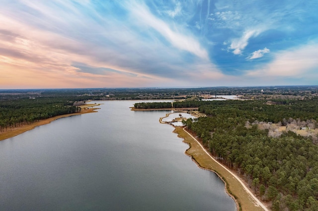 aerial view at dusk of a forest view and a water view