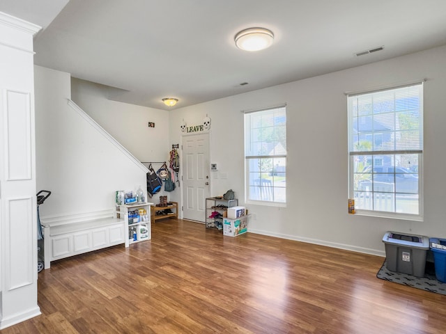 interior space featuring wood-type flooring and plenty of natural light