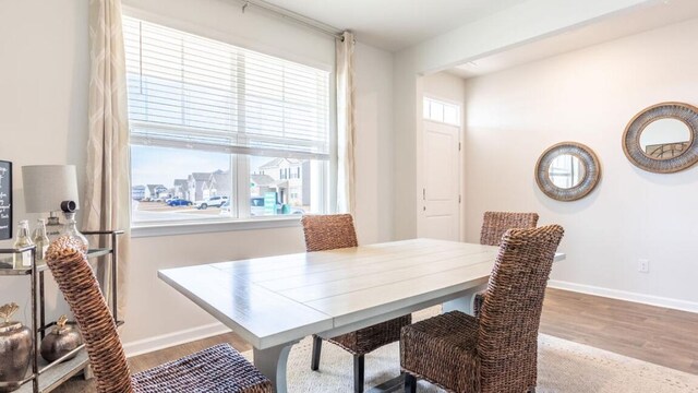 dining space with light hardwood / wood-style floors