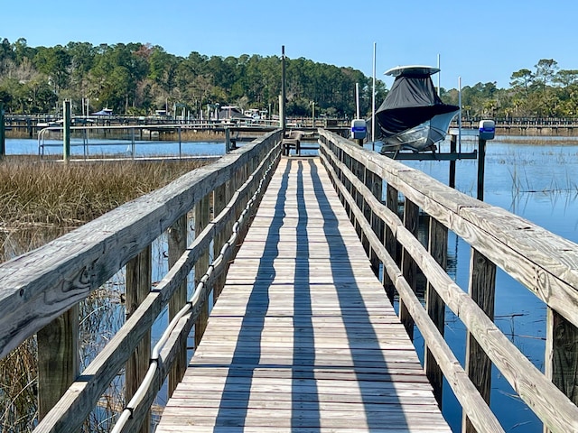 dock area with a water view