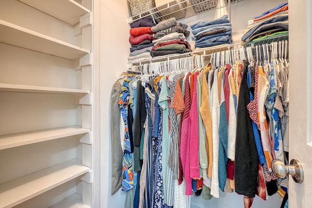 view of spacious closet