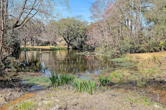 view of water feature