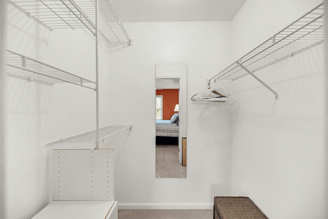 721 Lake Frances Dr, Charleston, SC 29412 - view of walk in closet