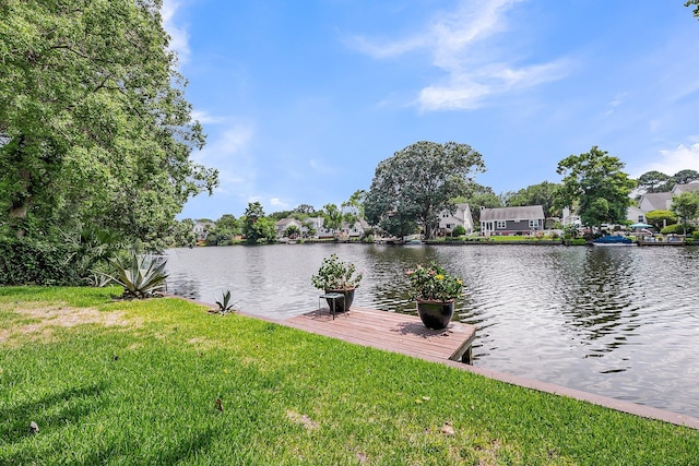 721 Lake Frances Dr, Charleston, SC 29412 - water view with a boat dock