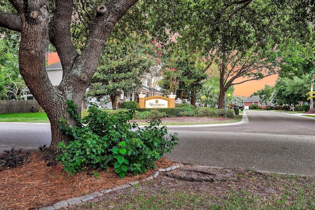 721 Lake Frances Dr, Charleston, SC 29412 - view of asphalt road