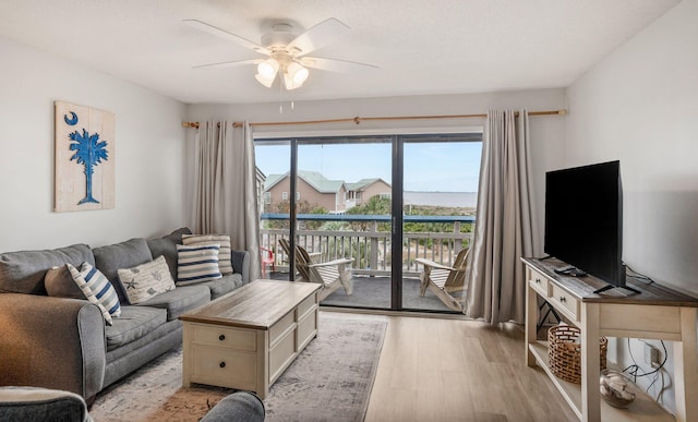 living room featuring ceiling fan and light hardwood / wood-style flooring