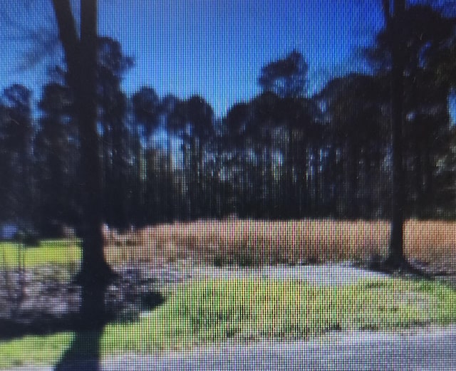 0 Brights, Walterboro SC, 29488 land for sale