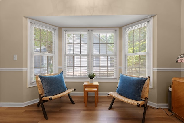 9091 Delancey Cir N, Charleston, SC 29406 - living area with wood finished floors and healthy amount of natural light
