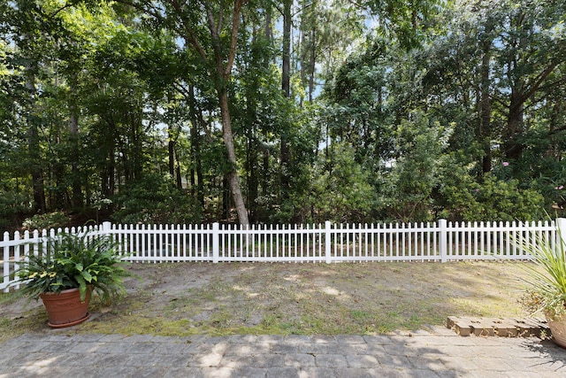 9091 Delancey Cir N, Charleston, SC 29406 - view of yard