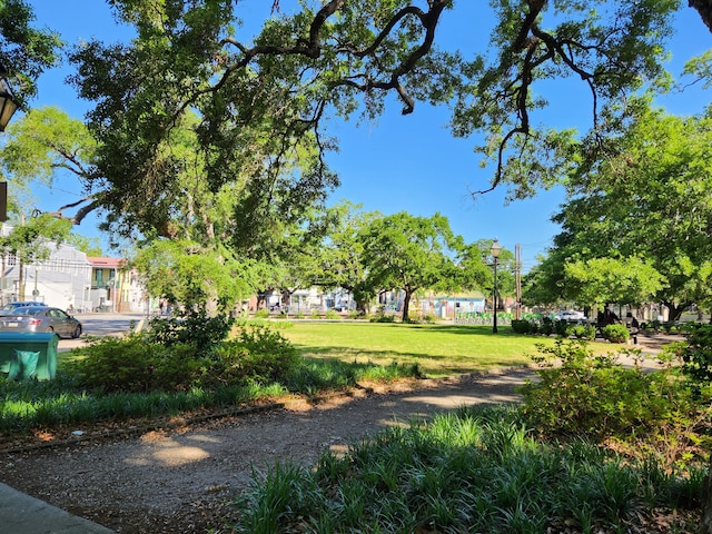 view of community featuring a yard