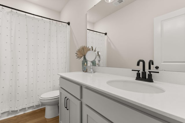 226 Midtown Ave, Summerville, SC 29486 - bathroom featuring wood finished floors, vanity, toilet, and curtained shower