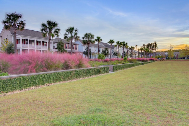 226 Midtown Ave, Summerville, SC 29486 - view of grassy yard with a residential view