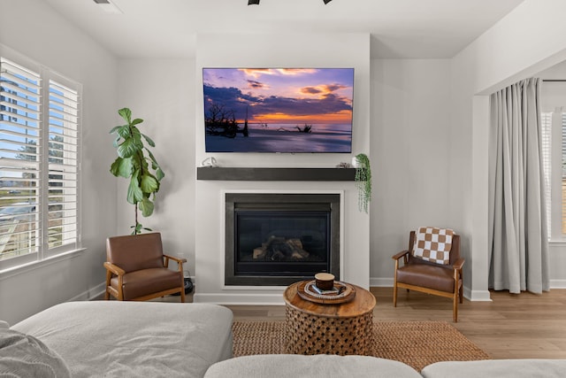 226 Midtown Ave, Summerville, SC 29486 - living area with wood finished floors, a glass covered fireplace, and baseboards