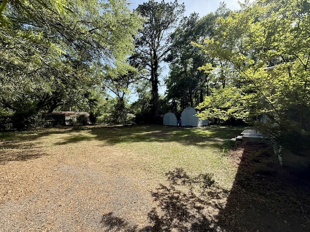 6086 Chisolm Rd, Johns Island, SC 29455 - view of yard featuring an outdoor structure and a shed