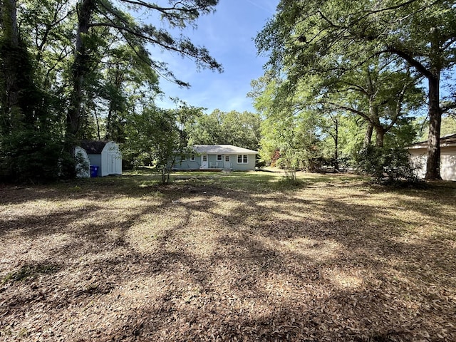 6086 Chisolm Rd, Johns Island, SC 29455 - view of yard featuring an outdoor structure and a storage shed
