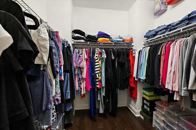 spacious closet featuring wood finished floors