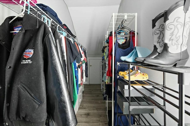 spacious closet featuring wood finished floors