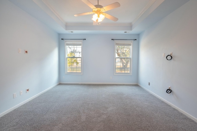 spare room featuring ornamental molding, a tray ceiling, and a healthy amount of sunlight