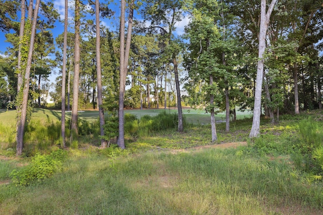621 Plantation Dr, Santee, SC 29142 - view of yard