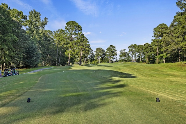 621 Plantation Dr, Santee, SC 29142 - view of property's community with view of golf course and a lawn
