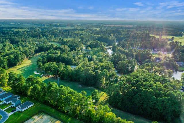 621 Plantation Dr, Santee, SC 29142 - bird's eye view with a forest view