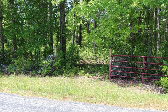 2411 Drain Rd, Smoaks, SC 29481