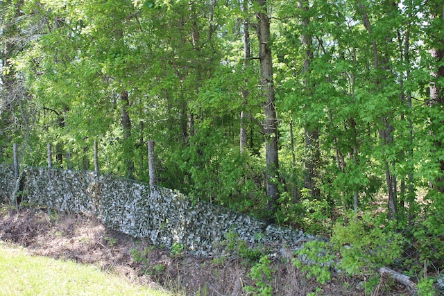 2411 Drain Rd, Smoaks, SC 29481