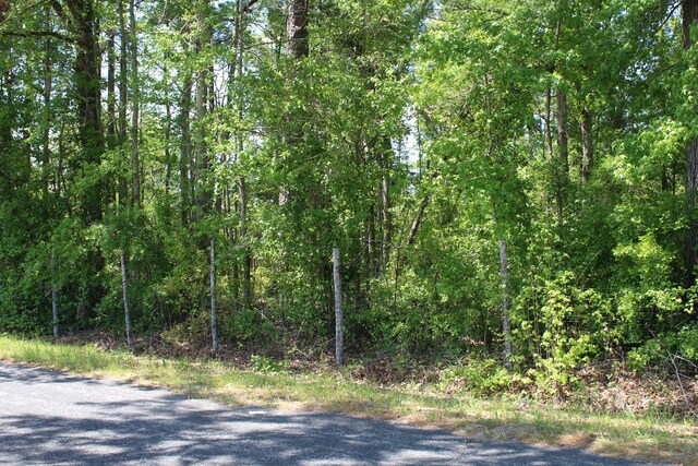 2411 Drain Rd, Smoaks, SC 29481