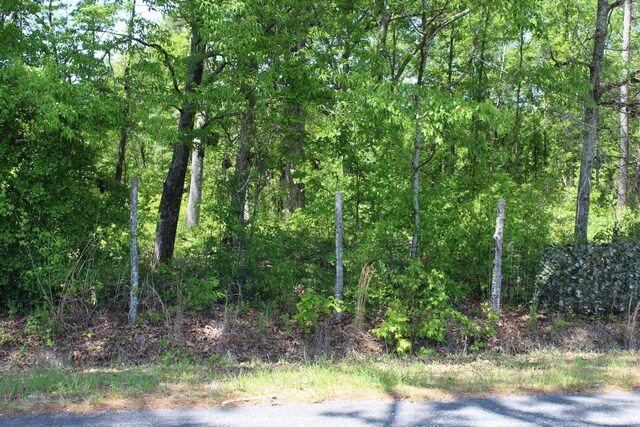 2411 Drain Rd, Smoaks, SC 29481
