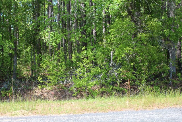 2411 Drain Rd, Smoaks, SC 29481