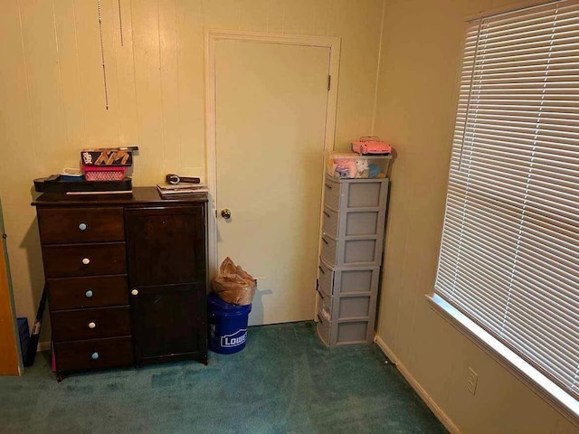 bedroom with carpet floors