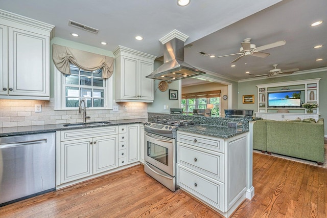 1227 River Rd, Johns Island, SC 29455 - kitchen featuring appliances with stainless steel finishes, a sink, open floor plan, ornamental molding, and island exhaust hood
