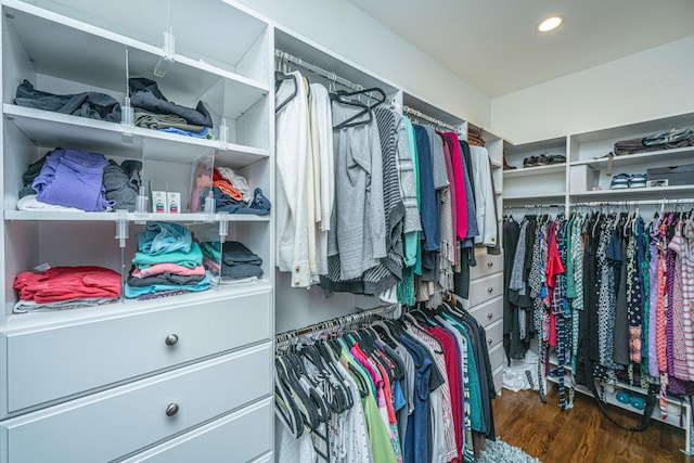 1227 River Rd, Johns Island, SC 29455 - walk in closet with wood finished floors