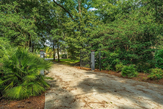 1227 River Rd, Johns Island, SC 29455 - view of concrete driveway with a gate and a gated entry