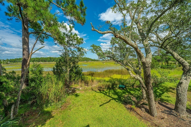 1227 River Rd, Johns Island, SC 29455 - view of yard with a water view